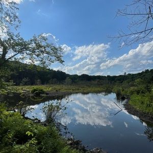 Meet your Posher, Syd